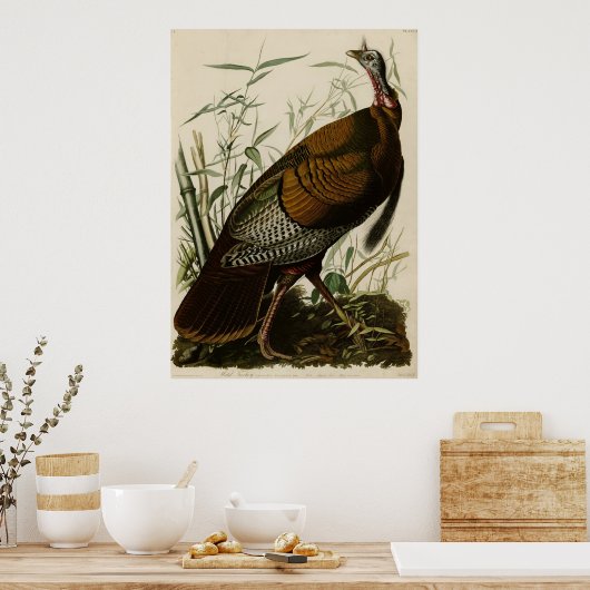 Wild Turkey_Audubon_Poster ポスター (キッチン)