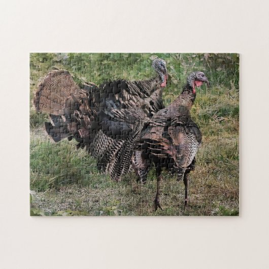 Wild Turkey Before The Fight ジグソーパズル (横)