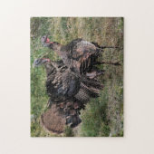Wild Turkey Before The Fight ジグソーパズル (縦)