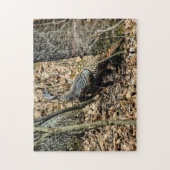 Wild Turkey in Woods写真パズルとギフトボックス ジグソーパズル (縦)