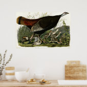Wild Turkey The Birds of America by James Audubon ポスター (キッチン)