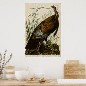 Wild Turkey The Birds of America by James Audubon ポスター (キッチン)