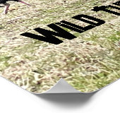 Wild Turkeys Poster ポスター (角)