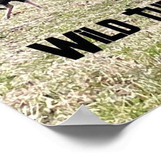 Wild Turkeys Poster ポスター (角)