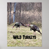 Wild Turkeys Poster ポスター (正面)