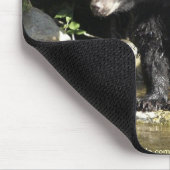 WILD WARRIORS Black Bearフォトコレクション マウスパッド (コーナー)