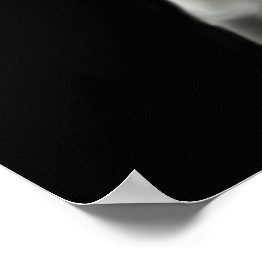 Wild White Horse Poster ポスター (角)