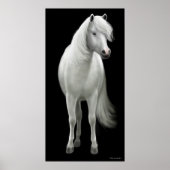 Wild White Horse Poster ポスター (正面)