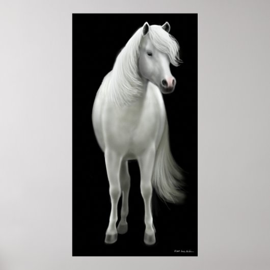 Wild White Horse Poster ポスター (正面)
