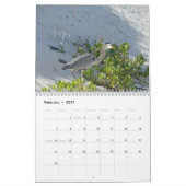 wild world of the Galapagos カレンダー (2月 2027)
