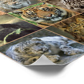 Wildcats ポスター (角)