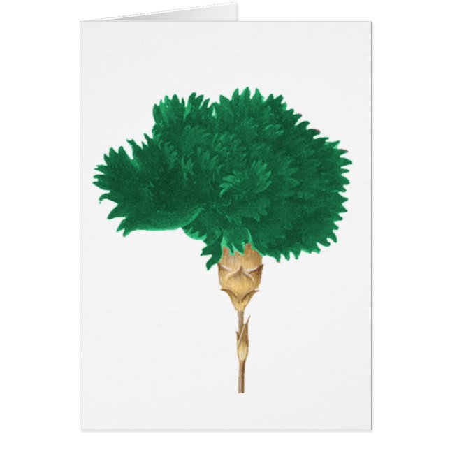 Wildeの嵩拝 (正面)