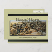 Wildebeest / gnu migration, safariポストカード ポストカード (正面/裏面)