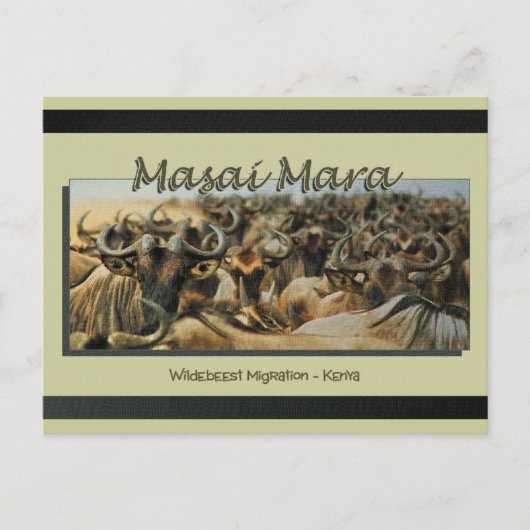 Wildebeest / gnu migration, safariポストカード ポストカード (正面)