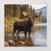 Wilderness Reverie Color Palette Card 招待状 (裏面)