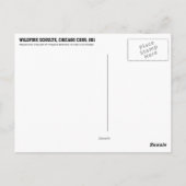 Wildfire Schulte, Chicago Cubs, 1911 ポストカード (裏面)