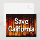 Wildfiresか救らのカリフォルニア ポストカード (正面/裏面)