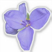 Wildflower Beauty – 自然の写真ステッカー シール (正面)