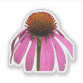 Wildflower Beauty – 自然の写真ステッカー シール (正面)
