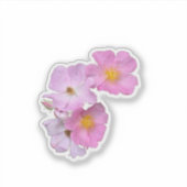 Wildflower Beauty – 自然の写真ステッカー シール (正面)