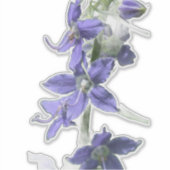 Wildflower Beauty – 自然の写真ステッカー シール (正面)