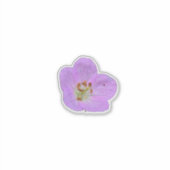Wildflower Beauty – Nature Photo Sticker シール (正面)