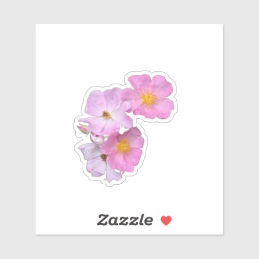 Wildflower Beauty – Nature Photo Sticker シール (シート)