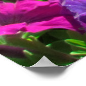 WILDFLOWER JOHN 3:16写真 ポスター (角)