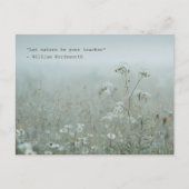Wildflower Meadow - 自然の美意識 ポストカード (正面)