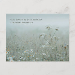 Wildflower Meadow - 自然の美意識 ポストカード