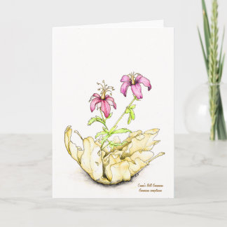 Wildflower watercolor geranium greeting card カード