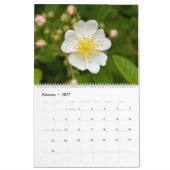 Wildflower Wonders – 自然美の1年 カレンダー (2月 2027)