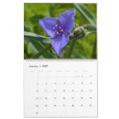 Wildflower Wonders – 自然美の1年 カレンダー (1月 2027)