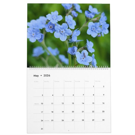 Wildflower Wonders – A Year of Natural Beauty カレンダー (5月 2026)