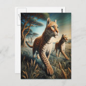 Wildflowersのネコ調和 ポストカード (正面/裏面)