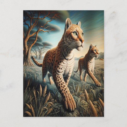 Wildflowersのネコ調和 ポストカード (正面)