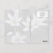 Wildflowersマクロフォトポストカードのクラスター ポストカード (裏面)