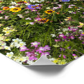 Wildflowers ポスター (角)