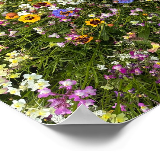 Wildflowers ポスター (角)