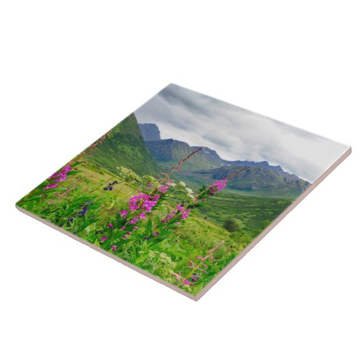 Wildflowers Alaskan Valley タイル (側面)