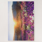 Wildflowers at sunset | Anza-Borrego Desert ジグソーパズル (縦)