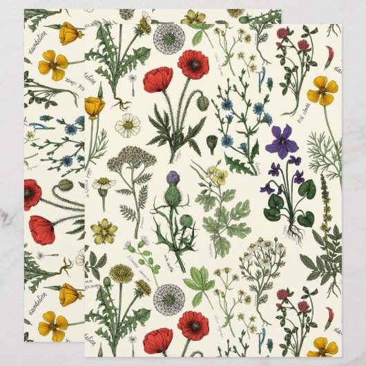 Wildflowers collage (正面/裏面)