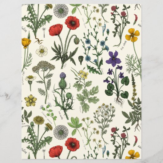 Wildflowers collage (正面)