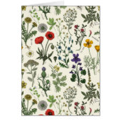 Wildflowers collage (正面)