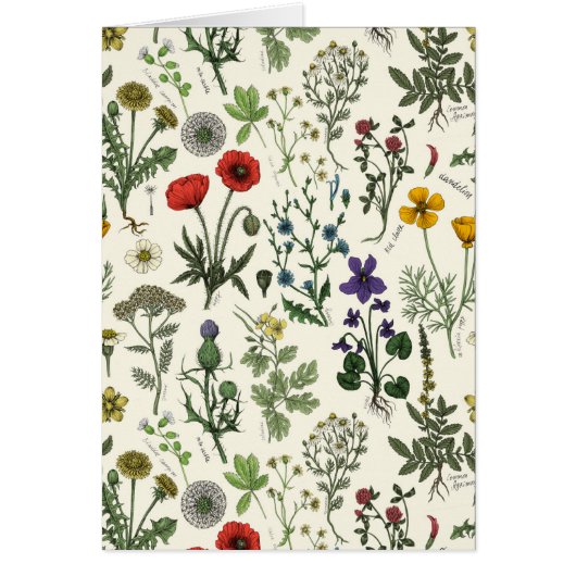 Wildflowers collage (正面)