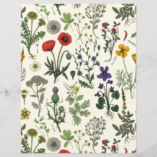 Wildflowers collage (裏面)