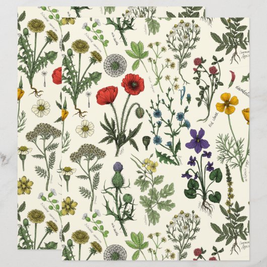 Wildflowers collage (正面/裏面)