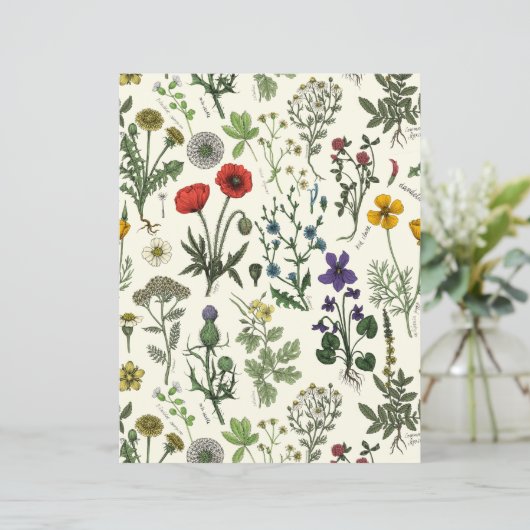 Wildflowers collage (スタンド正面)