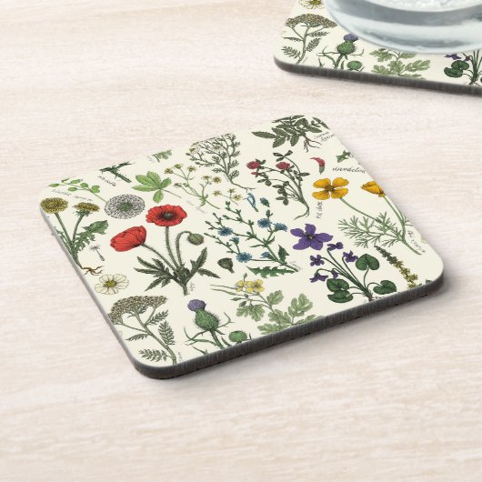 Wildflowers collage コースター (左側)