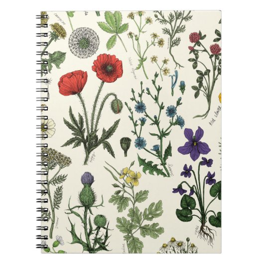 Wildflowers collage ノートブック (正面)